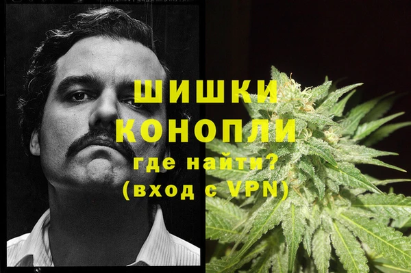 ПСИЛОЦИБИНОВЫЕ ГРИБЫ Алзамай