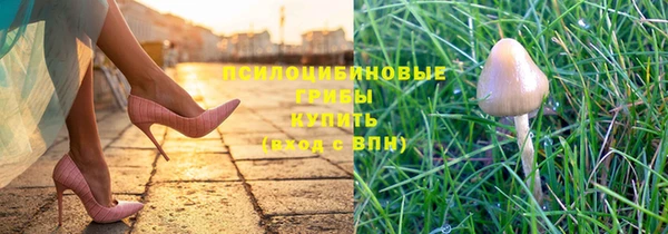 Альфа ПВП Алексин