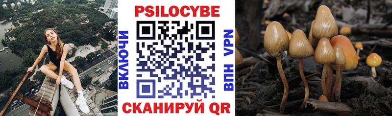 купить   Лабинск  Галлюциногенные грибы ЛСД 